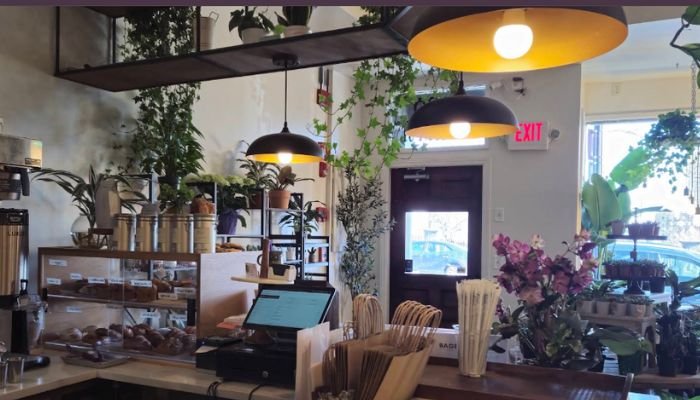 Green Haus Cafe in Boston
